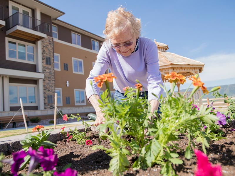 Gardening Provides a Healthy Pastime for Senior Green Thumbs