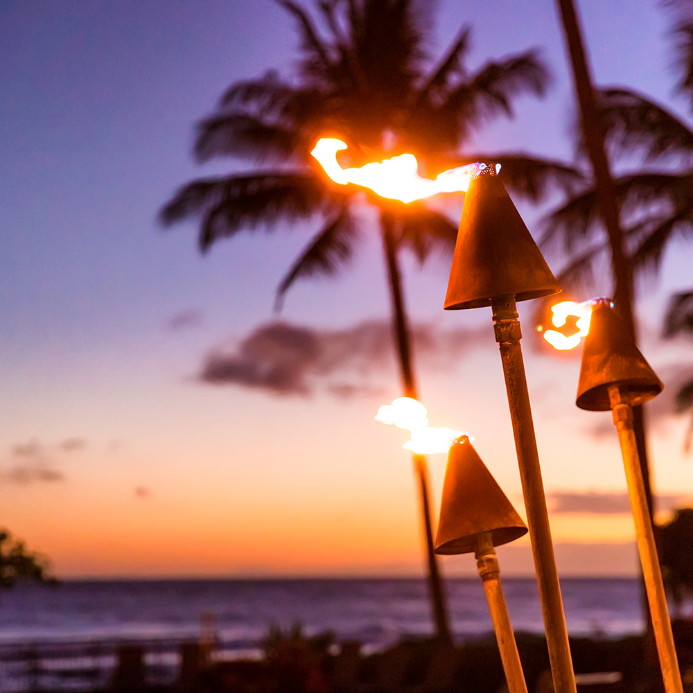 Hawaiian Luau & Polynesian Dance Party