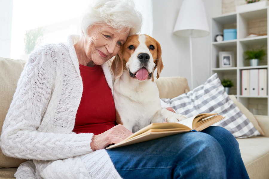 Positive smiling attractive elderly woman in casual clothing sitting on sofa and reading book while embracing cute dog at senior living community.