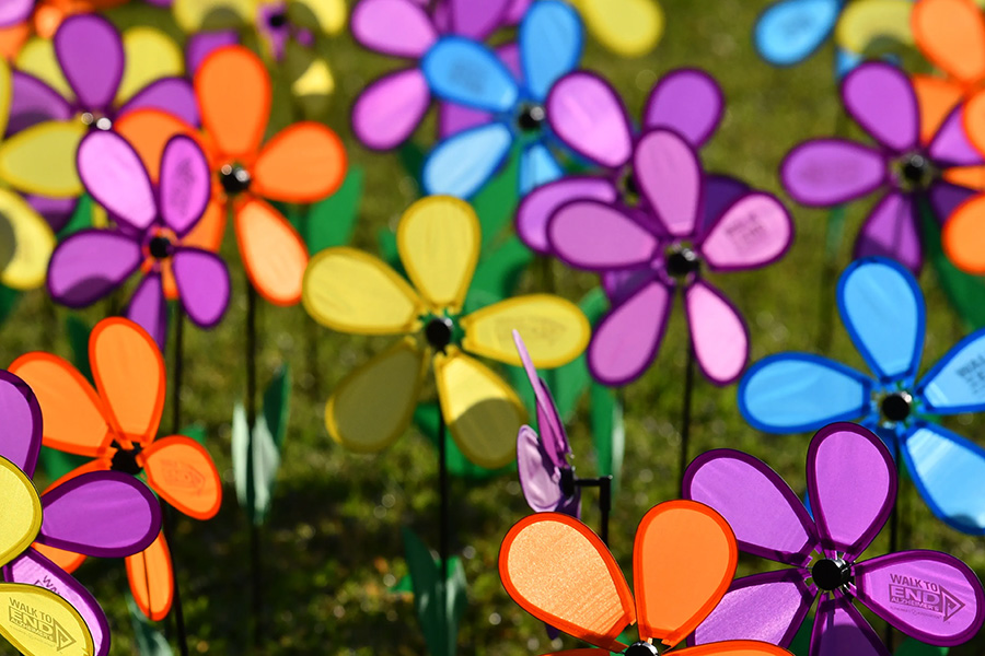 Walk to End Alzheimer’s – Colorado Springs
